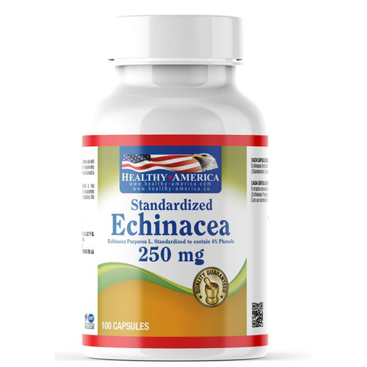 Echinacea Purpurea 250 mg 100 Capsules Healthy America