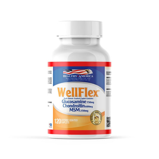 WellFlex Glucosamina, Condroitina, MSM 120 Caplets - Healthy America